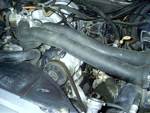1987 Ford Bronco - Close-up view of an engine bay with various hoses and belts visible.