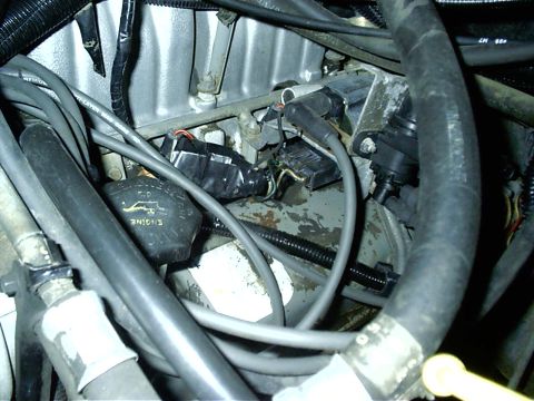 1987 Ford Bronco - Close-up view of an engine bay, showing wiring, hoses, and an oil cap with text.