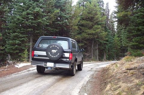 1995 Ford Bronco - A black Ford Bronco drives on a dirt road surrounded by tall pine trees.