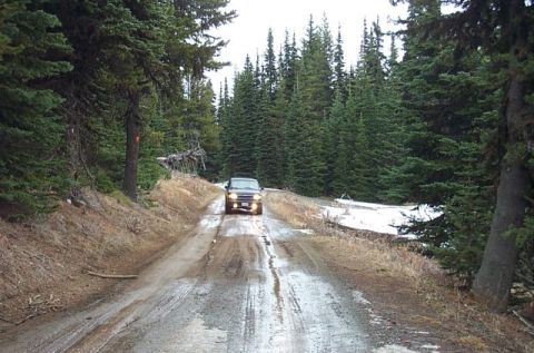 1995 Ford Bronco - A dark SUV navigates a wet and muddy dirt road through a dense evergreen forest.