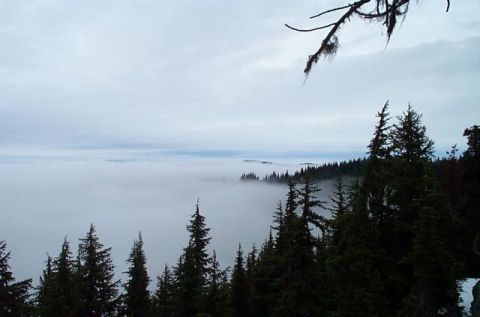1995 Ford Bronco - A vast expanse of fog blankets the valley, with dark evergreen trees silhouetted against the overcast sky.