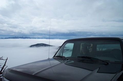 1995 Ford Bronco - Mandee taking in the spectacular view...