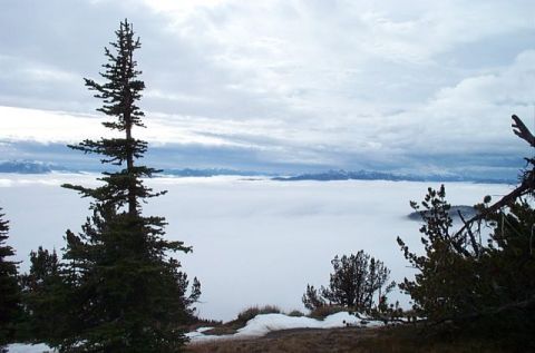 1995 Ford Bronco - Mountain landscape view above a sea of fog, with pine trees and distant mountains visible.