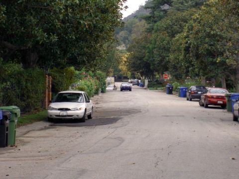 1965 Ford Mustang - Several vehicles are parked along a street lined with trees and houses.