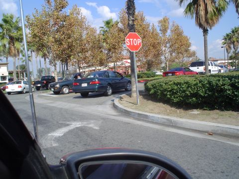 1993 Ford Taurus - then we set off