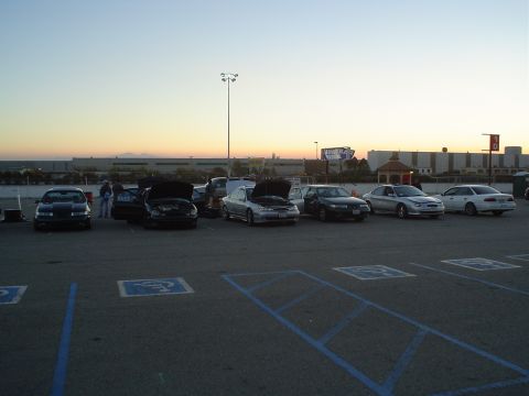 1993 Ford Taurus - the group grows..
