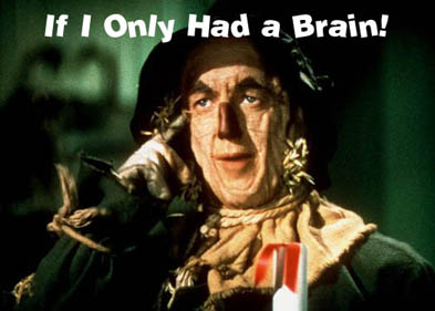 1986 Ford Bronco - A meme the Scarecrow character from The Wizard of Oz, with the text 'If I Only Had a Brain!' overlayed.