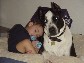 1989 Ford Bronco - A young child and a dog rest together on a blanket.