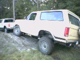 1983 Ford Bronco “Dirty Blonde”