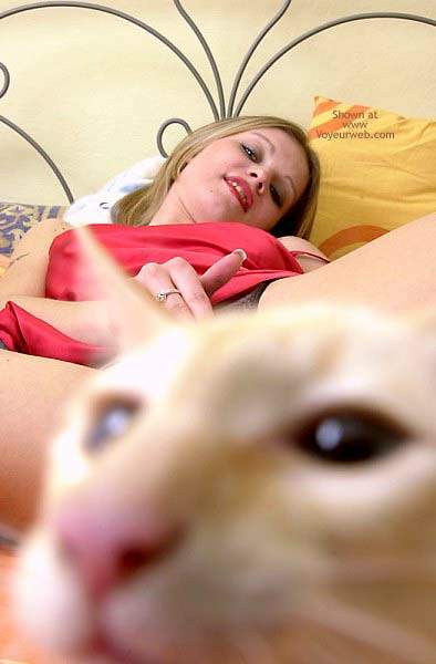 2003 Jeep TJ - A woman reclines on a bed, with a cat's face prominently blurred in the foreground. A pillow displays a website address.