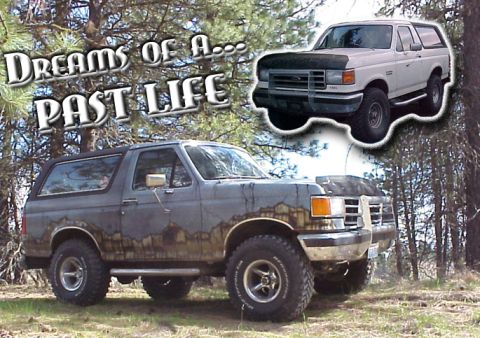 1989 Ford Bronco - A two-tone gray full-size Ford Bronco SUV with a hardtop, custom mountain-scene body graphics, and off-road tires, parked in a wooded area…