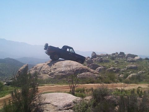 1981 Ford Bronco photo
