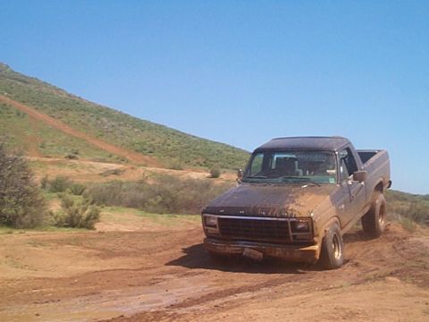 1981 Ford Bronco photo