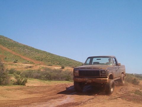 1981 Ford Bronco photo