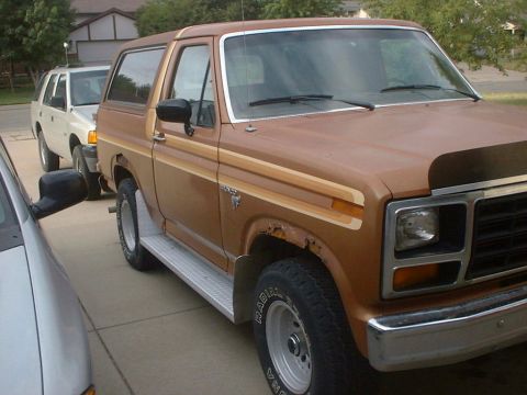 1981 Ford Bronco - When I bought it... boy was it rusty