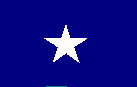 1995 Ford Bronco - A blue flag a prominent white star in the center.