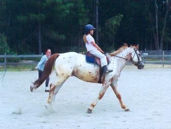 1991 Ford Bronco - A young person rides a spotted horse in a sandy arena with trees in the background.