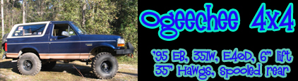 1995 Ford Bronco - This 1995 Ford Bronco is modified with a lift kit and off-road tires, suggesting it's built for terrain.
