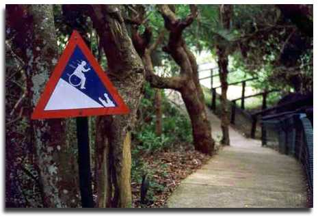 1990 Ford Bronco - A warning sign indicates a steep slope with a wheelchair symbol on a path in a wooded area.