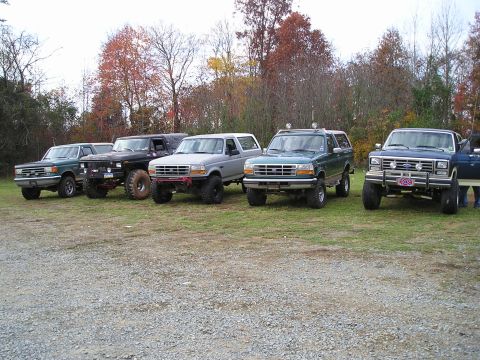 1996 Ford Bronco - Several Ford Broncos and trucks are lined up in a grassy area with trees in the background.