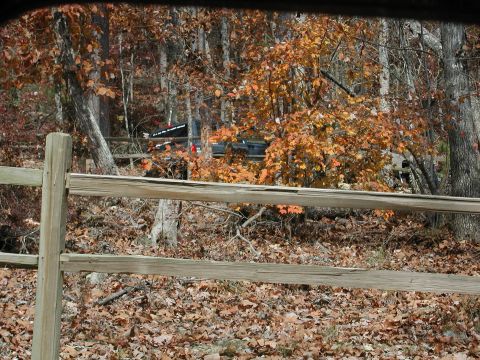 1985 Ford Bronco - A dark SUV is parked in a wooded area during autumn, with a wooden fence in the foreground.