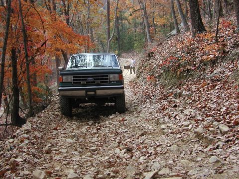 1985 Ford Bronco - A green Ford Bronco navigates a challenging, rocky path through a forest with colorful fall foliage.