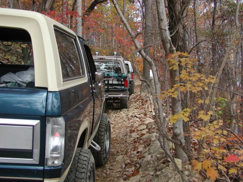 1985 Ford Bronco - A line of Ford Broncos navigates a wooded trail during autumn.