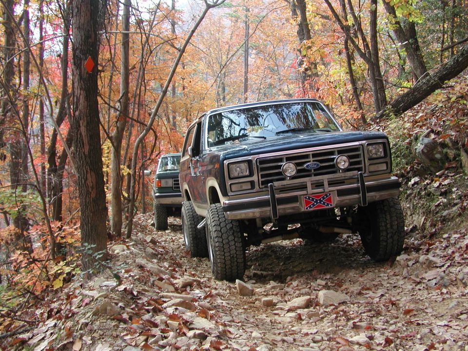 Dark blue 1985 Ford Bronco on a wooded trail, front view