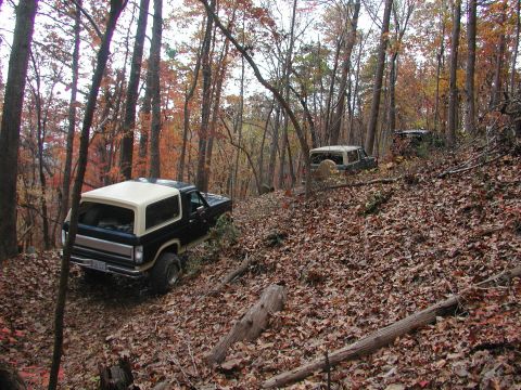 1985 Ford Bronco - Several SUVs navigate a wooded trail covered in fallen autumn leaves.
