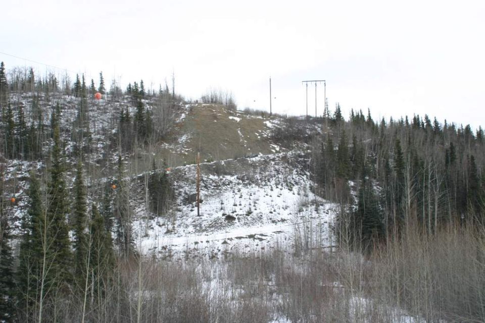 snowy hillside with scattered trees and power lines against an overcast sky