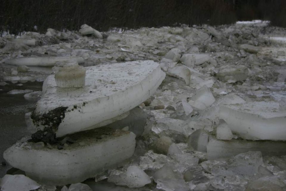 Ice chunks piled on a dark surface with some debris embedded in the ice