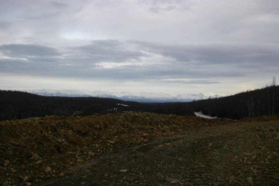 Overcast sky above dark forest, foreground of dirt and rocks, distant snow-capped mountains