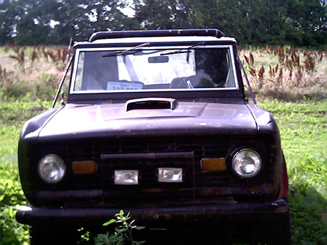 1976 Ford Bronco “bitch”