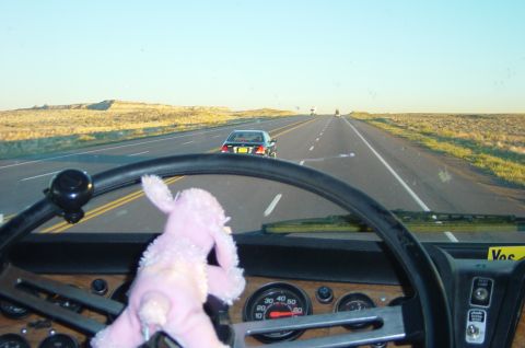 1974 Ford Bronco - On the way home with a special driver