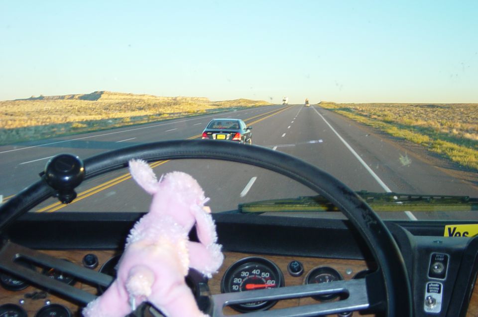 On the way home with a special driver