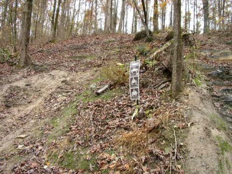 1995 Ford Bronco - A sign indicates permitted vehicles on a muddy, leaf-covered forest path.