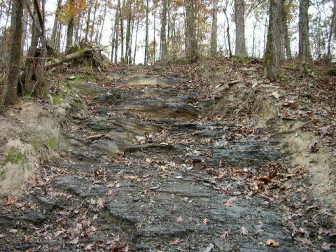 1995 Ford Bronco - A natural, rocky path winds through a wooded area during autumn.