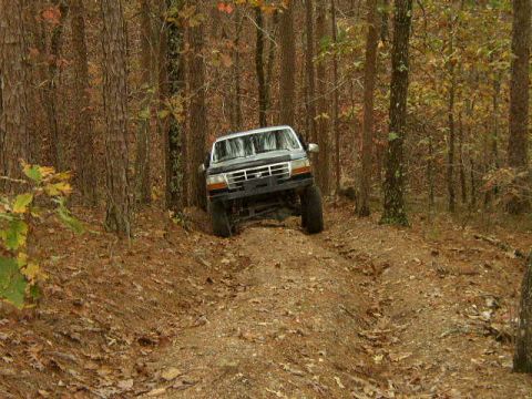 1995 Ford Bronco - A dark blue Ford Bronco navigates a wooded trail during autumn.