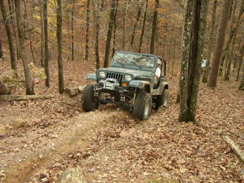 1995 Ford Bronco - A green Jeep Wrangler navigates a leaf-covered trail through a forest, with another vehicle in the distance.