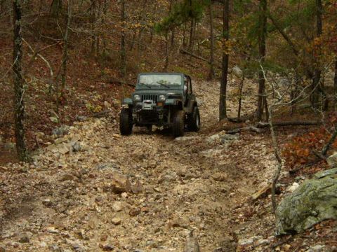 1995 Ford Bronco - A Jeep navigates a rough, off-road path through a forest with fallen leaves.