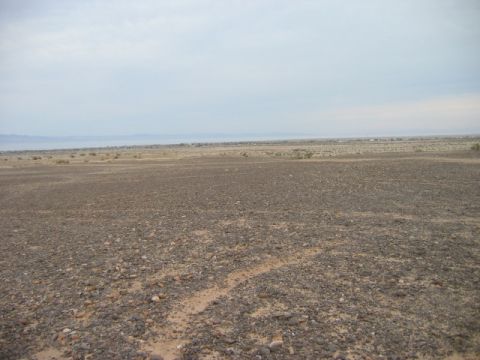 1985 Ford Bronco - We're on Mars