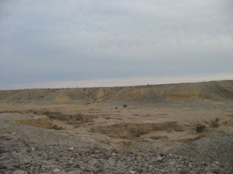 1985 Ford Bronco - The image depicts a desolate desert landscape with dry, eroded terrain and sparse vegetation under an overcast sky.