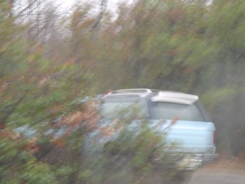 1993 Ford Bronco - A light blue SUV is visible through foliage, with a "SUPERMOTORS.NET" watermark at the bottom right.