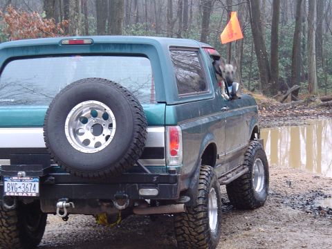 1993 Ford Bronco - 1993 Ford Bronco seen off-roading in a muddy, wooded area with a dog in the passenger window.