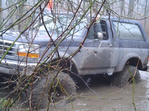 1993 Ford Bronco - A dark blue Ford Bronco navigates through muddy water, partially hidden by tree branches.