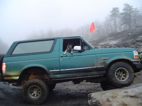 1993 Ford Bronco - A dog looks out the window of a teal Ford Bronco as it navigates rocky terrain.