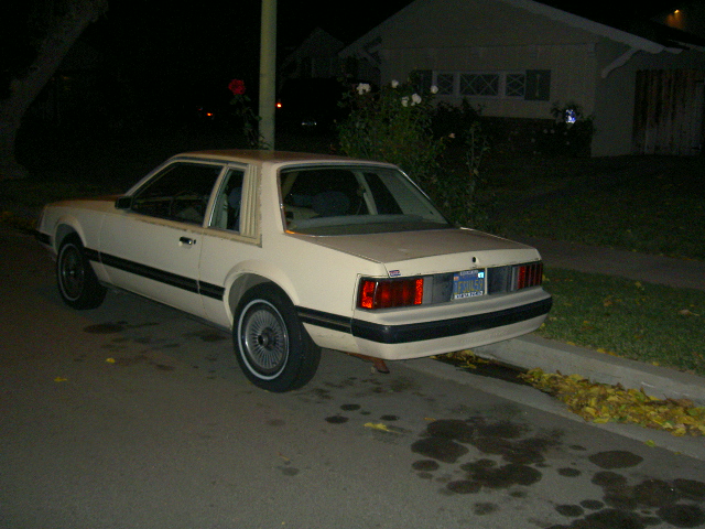 Cream-colored 1982 Ford Mustang coupe parked on a street at night, rear view