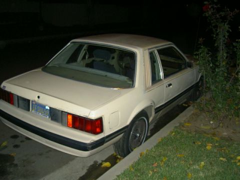 1982 Ford Mustang - This 1982 Ford Mustang is parked curbside at night, with its rear end facing the camera.