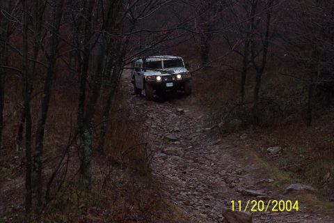 1979 Ford Bronco - A Hummer H1 navigates a rough, unpaved path through a dense, bare forest.