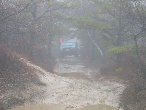 1995 Ford Bronco - A vehicle navigates a wet and muddy path through a foggy, wooded area.